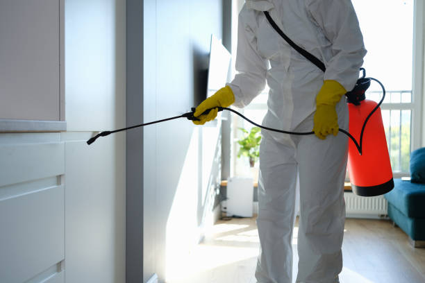 Best Mold Odor Removal Services  in Aliquip, PA